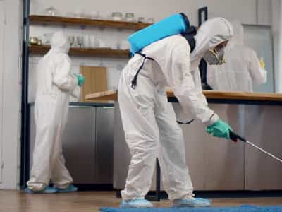 Residential Pest Control Service