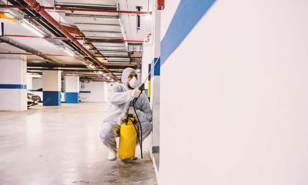 Warehouse Pest Control